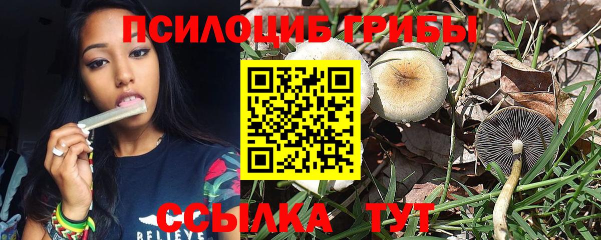 Галлюциногенные грибы мухоморы Вичуга